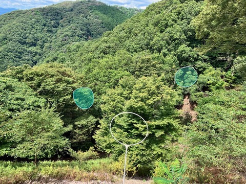 妙見山_5050 (7)