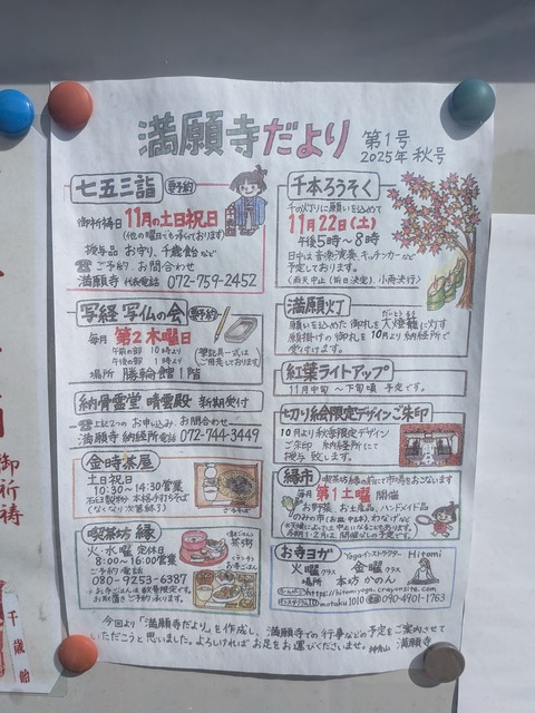 PXL_20251011_043642727