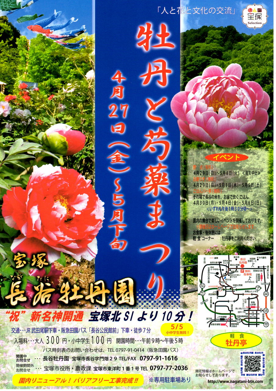 Gwお出かけ情報 牡丹と芍薬まつり 宝塚長谷牡丹園 宝塚コミパ通信