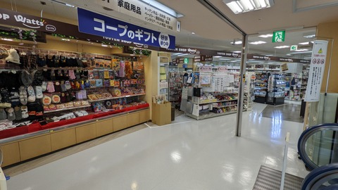 PXL_20221024_044343110