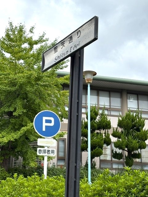 syout3