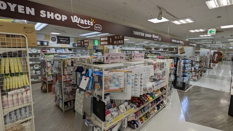 PXL_20221024_044350447