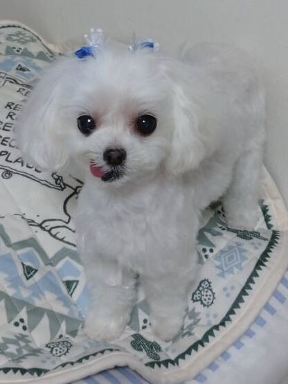 F8E4B5D6-10CC-4EF5-B735-118AA26D01A2