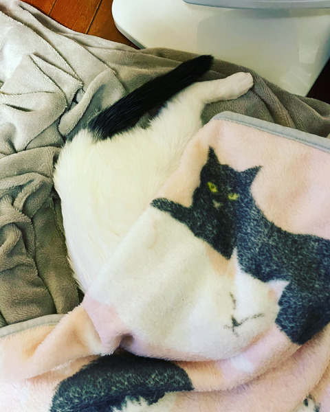 5D34DBDA-8E8B-4FEC-80AA-76F773950AB0