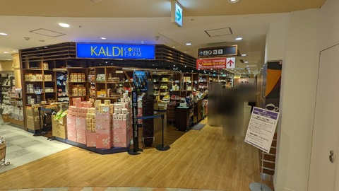 KALDI3