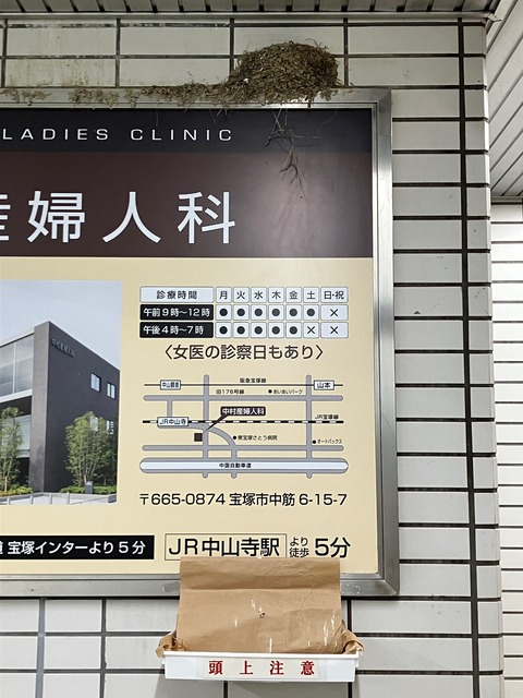 つばめ-5