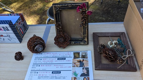 PXL_20221107_034529087