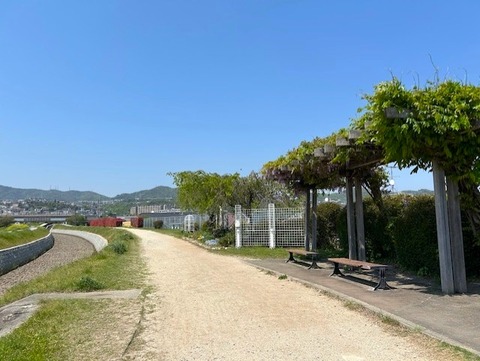 cycling14