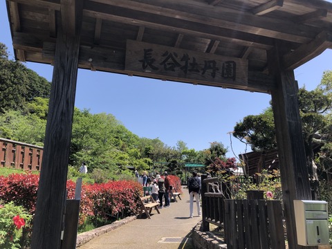 長谷牡丹園_0901