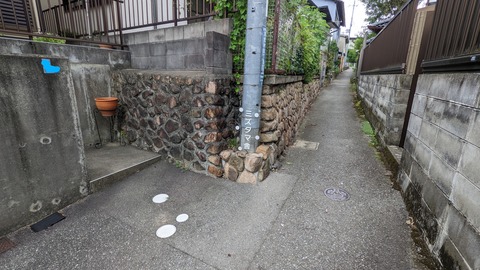 PXL_20220906_024805377_2