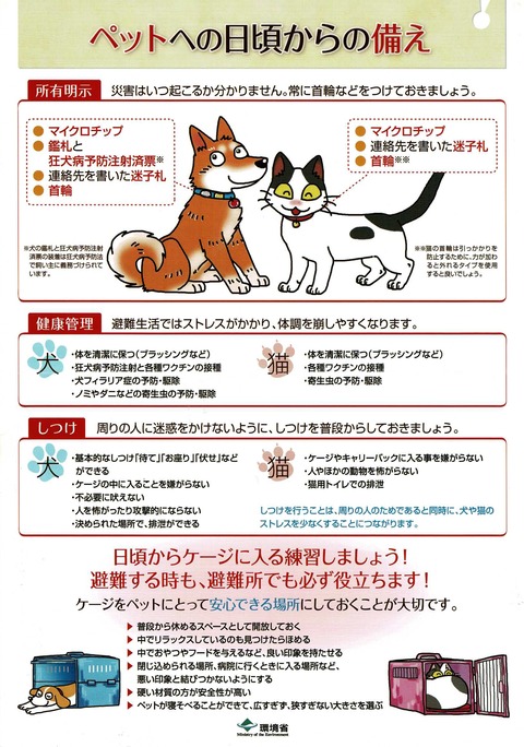 BRN3C2AF4AFA53C_001710