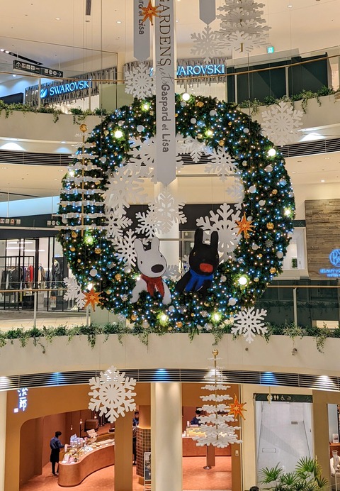 PXL_20221121_080416579