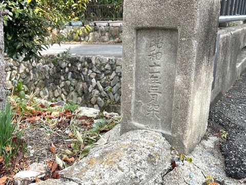 hashi17