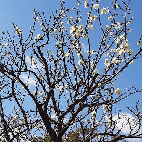 IMG_20210216_155627_657