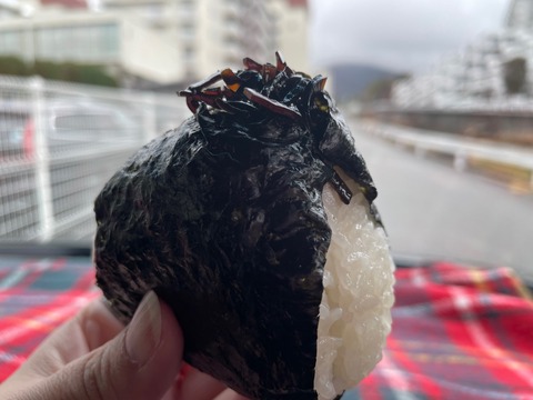 おにぎり2