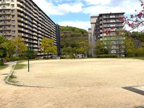 sumire10