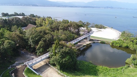 屋外展示_メイン_樹冠トレイル DJI_0177