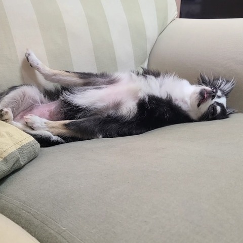 VideoCapture_20230722-085021