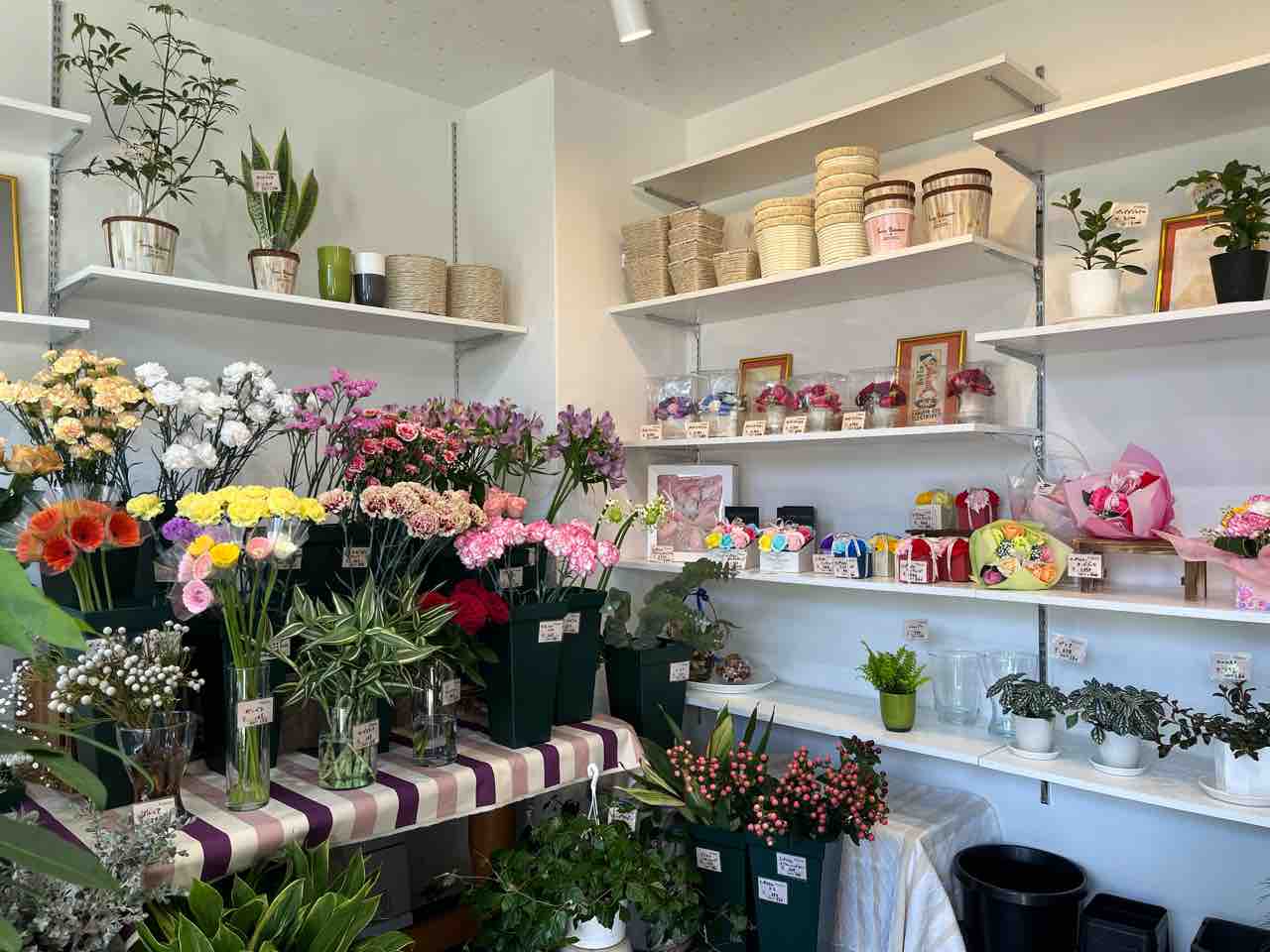 宝塚市 NEW OPEN】アピア2にお花屋さん『Petalo ペタロ』が