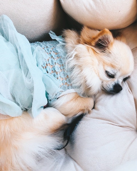 E676C7D9-DA22-4540-B3BF-54E7CEC28CB4