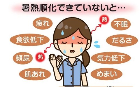 暑熱順化できていない