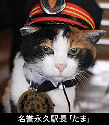 たま名誉駅長