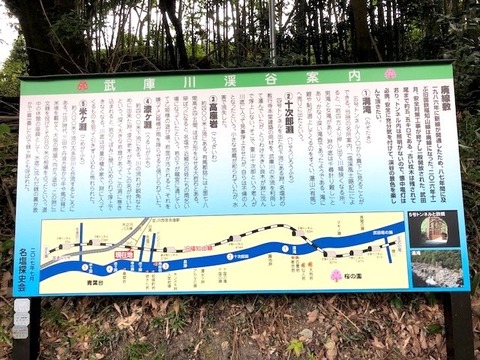 takeda2