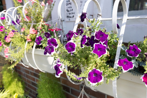 250828縺薙∩縺ｯ繧・c-118