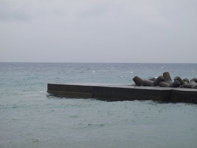 PA130110