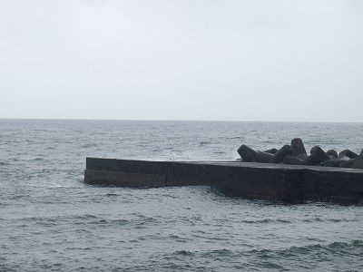 P6050110