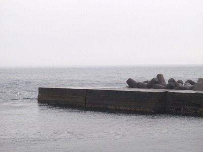 P3050184