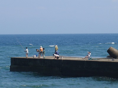 P8170002