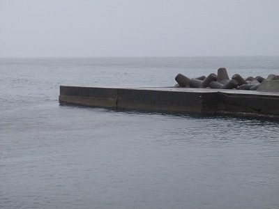 P3200266