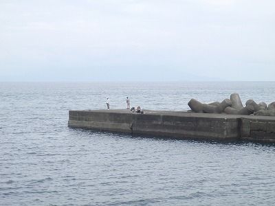 P6300119