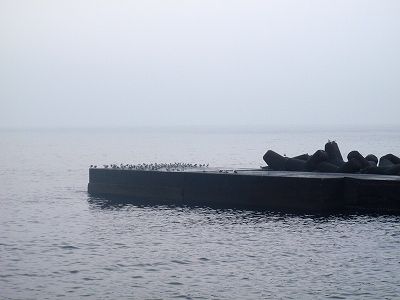 P2020096