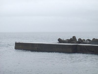 PB090121