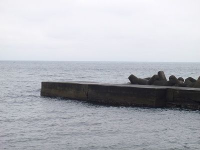 P4260224
