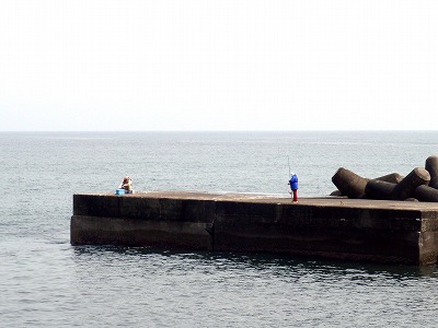 P3150060