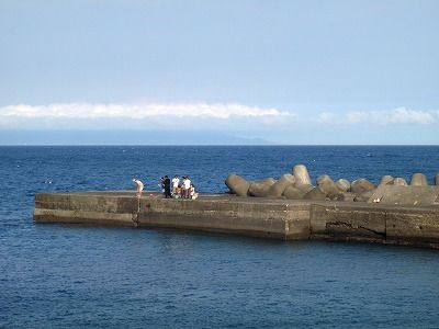 P7270254