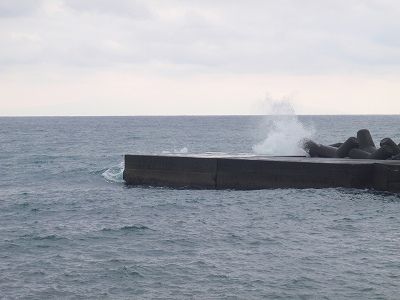 P3010225