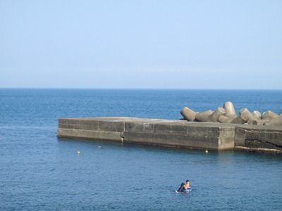 P8010119