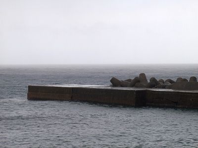 PA090084