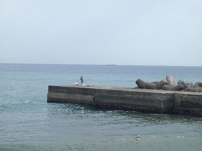 P8010149