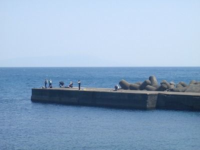 P5010149