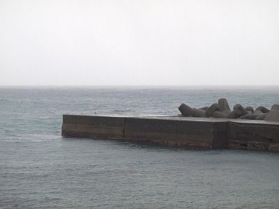 P4060208