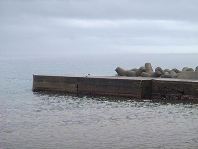 P9050084