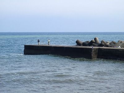 P4280251