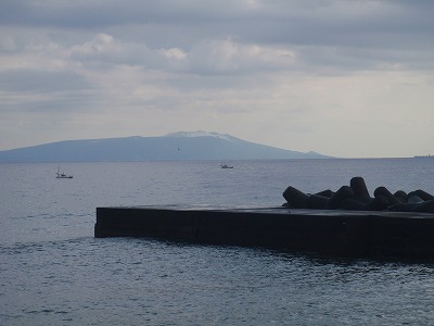 P2020060