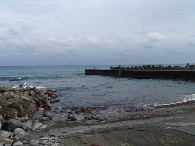 P3010231