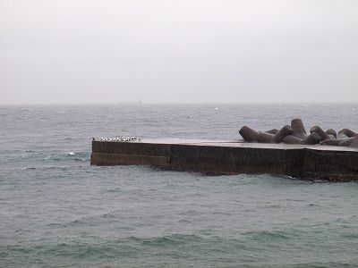 P2050113